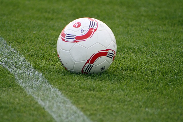 两支球队的 两支球队的