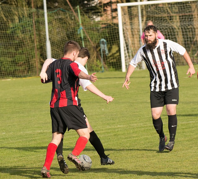 度传染性的 度传染性的