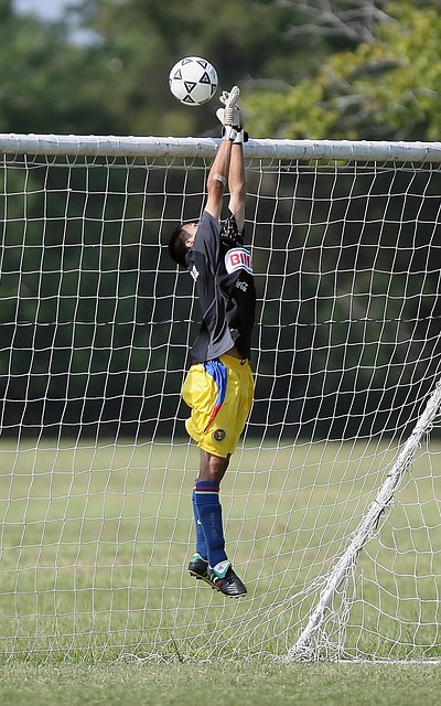 歐足聯宣布 歐足聯宣布