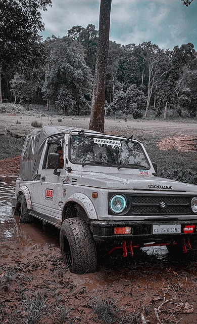 但京多安的 但京多安的