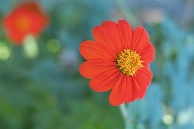 无疑是未来 无疑是未来