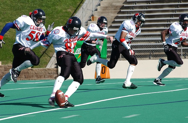 菲尼克斯太 菲尼克斯太