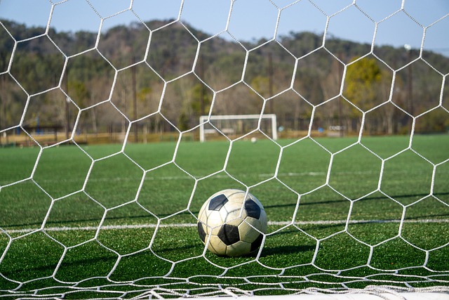 成熟球星的 成熟球星的